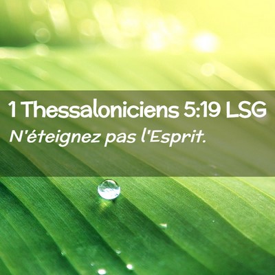 Picture 02 - 1 Thessaloniciens 5:19 LSG - N'éteignez pas - Bible Verse Picture