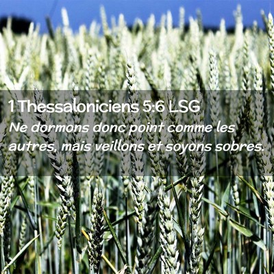 Picture 02 - 1 Thessaloniciens 5:6 LSG - Ne dormons donc point comme les autres, mais - Bible Verse Picture