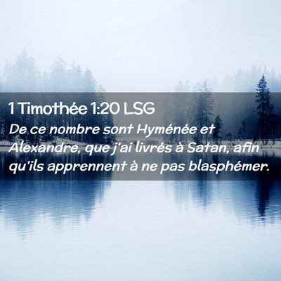 Picture 02 - 1 Timothée 1:20 LSG - De ce nombre sont Hyménée et Alexandre, que - Bible Verse Picture