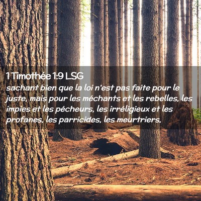 Picture 02 - 1 Timothée 1:9 LSG - sachant bien que la loi n'est pas faite pour le - Bible Verse Picture