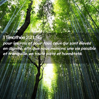 Picture 02 - 1 Timothée 2:2 LSG - pour les rois et pour tous ceux qui sont élevés - Bible Verse Picture
