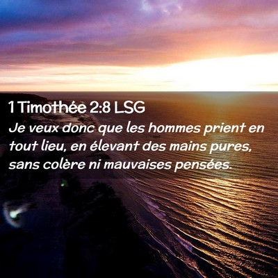 Picture 02 - 1 Timothée 2:8 LSG - Je veux donc que les hommes prient en tout lieu, - Bible Verse Picture