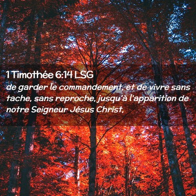 Picture 02 - 1 Timothée 6:14 LSG - de garder le commandement, et de vivre sans - Bible Verse Picture
