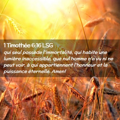 Picture 02 - 1 Timothée 6:16 LSG - qui seul possède l'immortalité, qui habite une - Bible Verse Picture