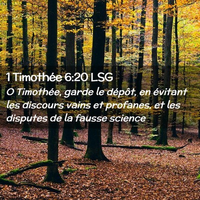Picture 02 - 1 Timothée 6:20 LSG - O Timothée, garde le dépôt, en évitant les - Bible Verse Picture