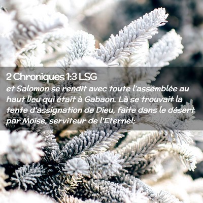 Picture 02 - 2 Chroniques 1:3 LSG - et Salomon se rendit avec toute l'assemblée au - Bible Verse Picture