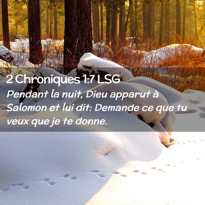 Picture 02 - 2 Chroniques 1:7 LSG - Pendant la nuit, Dieu apparut à Salomon et lui - Bible Verse Picture