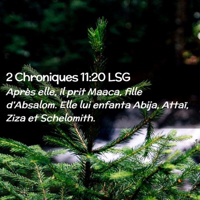 Picture 02 - 2 Chroniques 11:20 LSG - Après elle, il prit Maaca, fille d'Absalom. Elle - Bible Verse Picture