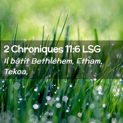 Picture 02 - 2 Chroniques 11:6 LSG - Il bâtit Bethléhem, Etham, - Bible Verse Picture