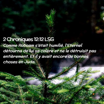 Picture 02 - 2 Chroniques 12:12 LSG - Comme Roboam s'était humilié, l'Eternel - Bible Verse Picture