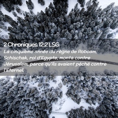 Picture 02 - 2 Chroniques 12:2 LSG - La cinquième année du règne de Roboam, - Bible Verse Picture