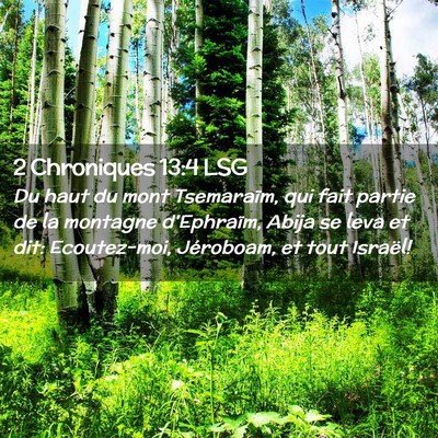 Picture 02 - 2 Chroniques 13:4 LSG - Du haut du mont Tsemaraïm, qui fait partie de la - Bible Verse Picture