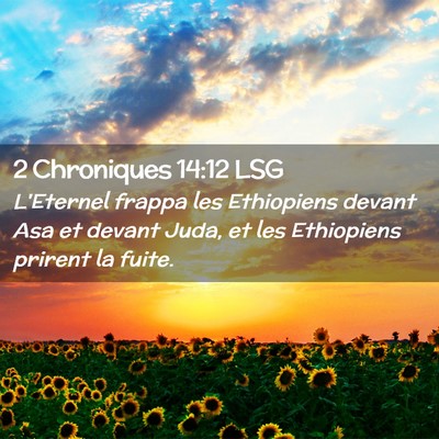 Picture 02 - 2 Chroniques 14:12 LSG - L'Eternel frappa les Ethiopiens devant Asa et - Bible Verse Picture