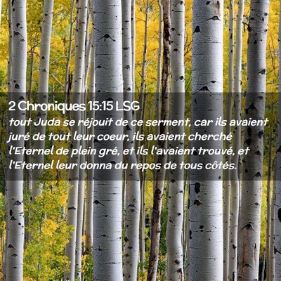 Picture 02 - 2 Chroniques 15:15 LSG - tout Juda se réjouit de ce serment, car ils - Bible Verse Picture