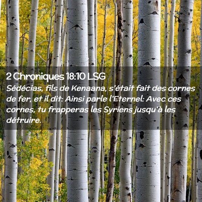Picture 02 - 2 Chroniques 18:10 LSG - Sédécias, fils de Kenaana, s'était fait des - Bible Verse Picture