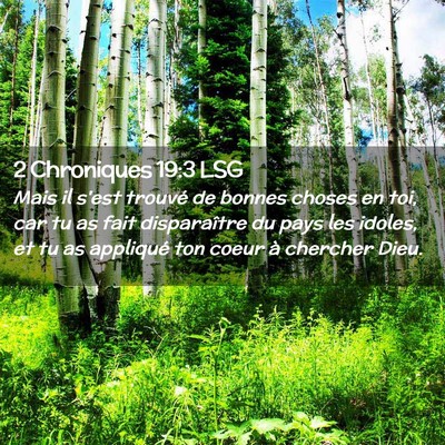 Picture 02 - 2 Chroniques 19:3 LSG - Mais il s'est trouvé de bonnes choses en toi, - Bible Verse Picture