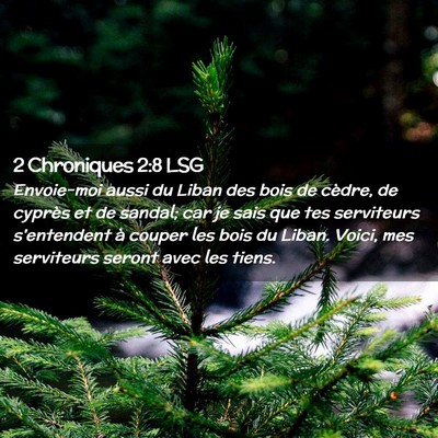 Picture 02 - 2 Chroniques 2:8 LSG - Envoie-moi aussi du Liban des bois de cèdre, de - Bible Verse Picture