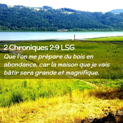 Picture 02 - 2 Chroniques 2:9 LSG - Que l'on me prépare du bois en abondance, car la - Bible Verse Picture