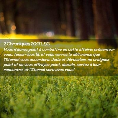 Picture 02 - 2 Chroniques 20:17 LSG - Vous n'aurez point à combattre en cette affaire: - Bible Verse Picture