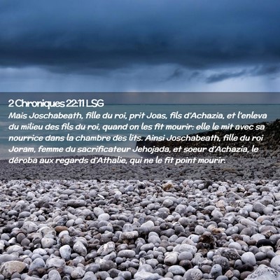 Picture 02 - 2 Chroniques 22:11 LSG - Mais Joschabeath, fille du roi, prit Joas, fils - Bible Verse Picture