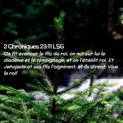 Picture 02 - 2 Chroniques 23:11 LSG - On fit avancer le fils du roi, on mit sur lui le - Bible Verse Picture