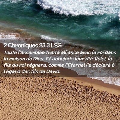 Picture 02 - 2 Chroniques 23:3 LSG - Toute l'assemblée traita alliance avec le roi - Bible Verse Picture