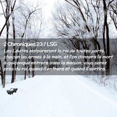 Picture 02 - 2 Chroniques 23:7 LSG - Les Lévites entoureront le roi de toutes parts, - Bible Verse Picture
