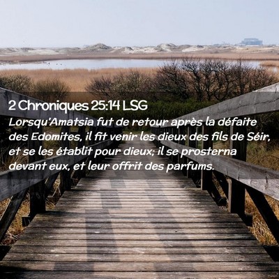 Picture 02 - 2 Chroniques 25:14 LSG - Lorsqu'Amatsia fut de retour après la défaite - Bible Verse Picture