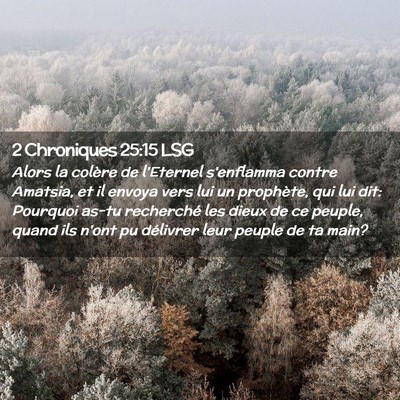 Picture 02 - 2 Chroniques 25:15 LSG - Alors la colère de l'Eternel s'enflamma contre - Bible Verse Picture