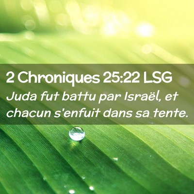 Picture 02 - 2 Chroniques 25:22 LSG - Juda fut battu par Israël, et chacun s'enfuit - Bible Verse Picture