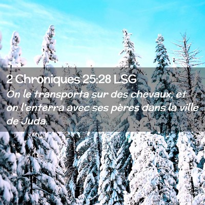Picture 02 - 2 Chroniques 25:28 LSG - On le transporta sur des chevaux, et on l'enterra - Bible Verse Picture