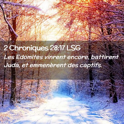 Picture 02 - 2 Chroniques 28:17 LSG - Les Edomites vinrent encore, battirent Juda, et - Bible Verse Picture