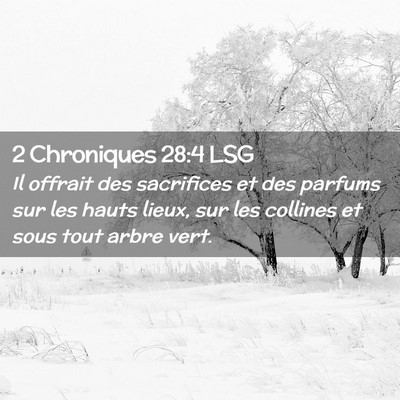Picture 02 - 2 Chroniques 28:4 LSG - Il offrait des sacrifices et des parfums sur les - Bible Verse Picture