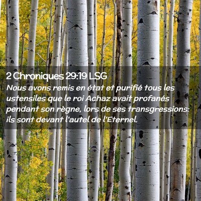 Picture 02 - 2 Chroniques 29:19 LSG - Nous avons remis en état et purifié tous les - Bible Verse Picture