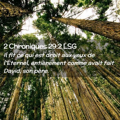 Picture 02 - 2 Chroniques 29:2 LSG - Il fit ce qui est droit aux yeux de l'Eternel, - Bible Verse Picture