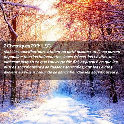 Picture 02 - 2 Chroniques 29:34 LSG - Mais les sacrificateurs étaient en petit nombre, - Bible Verse Picture