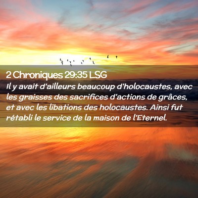 Picture 02 - 2 Chroniques 29:35 LSG - Il y avait d'ailleurs beaucoup d'holocaustes, - Bible Verse Picture