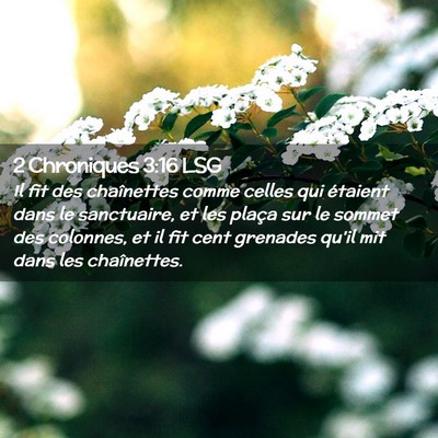 Picture 02 - 2 Chroniques 3:16 LSG - Il fit des chaînettes comme celles qui étaient - Bible Verse Picture
