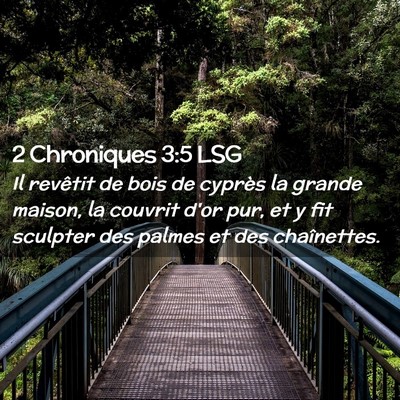Picture 02 - 2 Chroniques 3:5 LSG - Il revêtit de bois de cyprès la grande maison, - Bible Verse Picture