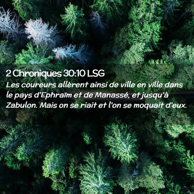 Picture 02 - 2 Chroniques 30:10 LSG - Les coureurs allèrent ainsi de ville en ville - Bible Verse Picture