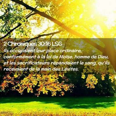 Picture 02 - 2 Chroniques 30:16 LSG - Ils occupaient leur place ordinaire, - Bible Verse Picture