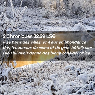 Picture 02 - 2 Chroniques 32:29 LSG - Il se bâtit des villes, et il eut en abondance - Bible Verse Picture