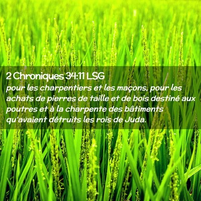 Picture 02 - 2 Chroniques 34:11 LSG - pour les charpentiers et les maçons, pour les - Bible Verse Picture