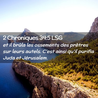 Picture 02 - 2 Chroniques 34:5 LSG - et il brûla les ossements des prêtres sur leurs - Bible Verse Picture