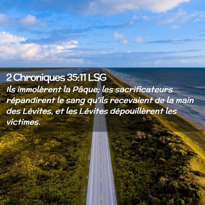 Picture 02 - 2 Chroniques 35:11 LSG - Ils immolèrent la Pâque; les sacrificateurs - Bible Verse Picture