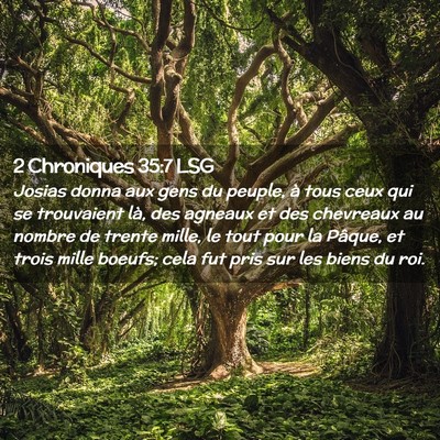 Picture 02 - 2 Chroniques 35:7 LSG - Josias donna aux gens du peuple, à tous ceux qui - Bible Verse Picture