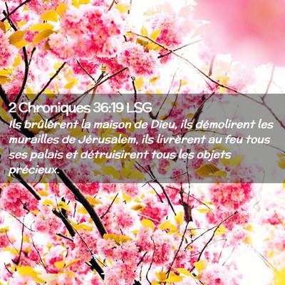 Picture 02 - 2 Chroniques 36:19 LSG - Ils brûlèrent la maison de Dieu, ils - Bible Verse Picture