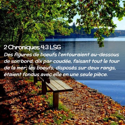 Picture 02 - 2 Chroniques 4:3 LSG - Des figures de boeufs l'entouraient au-dessous de - Bible Verse Picture