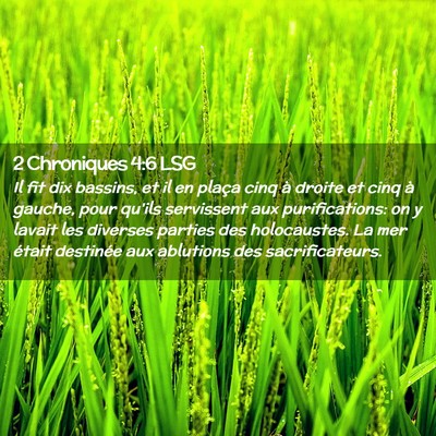 Picture 02 - 2 Chroniques 4:6 LSG - Il fit dix bassins, et il en plaça cinq à - Bible Verse Picture