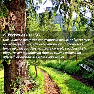 Picture 02 - 2 Chroniques 6:13 LSG - Car Salomon avait fait une tribune d'airain, et - Bible Verse Picture